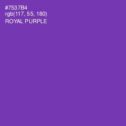 #7537B4 - Royal Purple Color Image